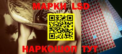 МДПВ Владикавказ