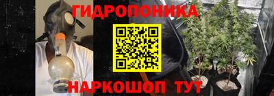 каннабис Владимир