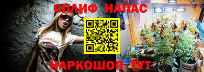 МДПВ Владикавказ